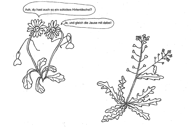 Ach, du hast auch so ein schickes Hirtentäschel? Ja, 
		und gleich die Jause mit dabei!